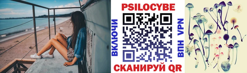Псилоцибиновые грибы Cubensis  Купить где  Калуга 